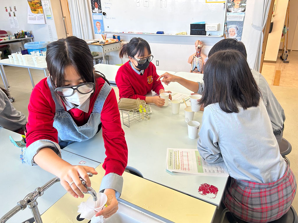 High School and Middle School Scientists Dive into Exciting Research Projects at Saint Maur's Science Center